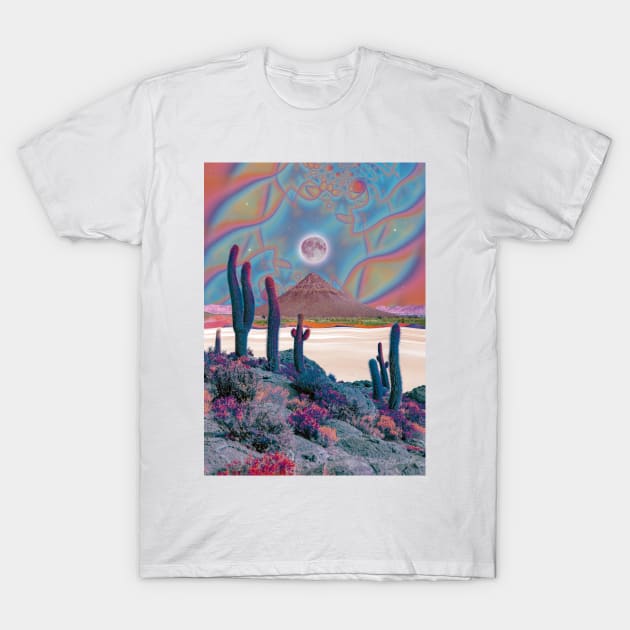 Stillness T-Shirt by Cajuca